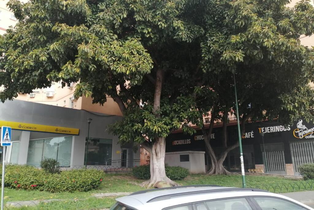 Confortable Y Luminoso Piso 5 Camas Malaga Zewnętrze zdjęcie
